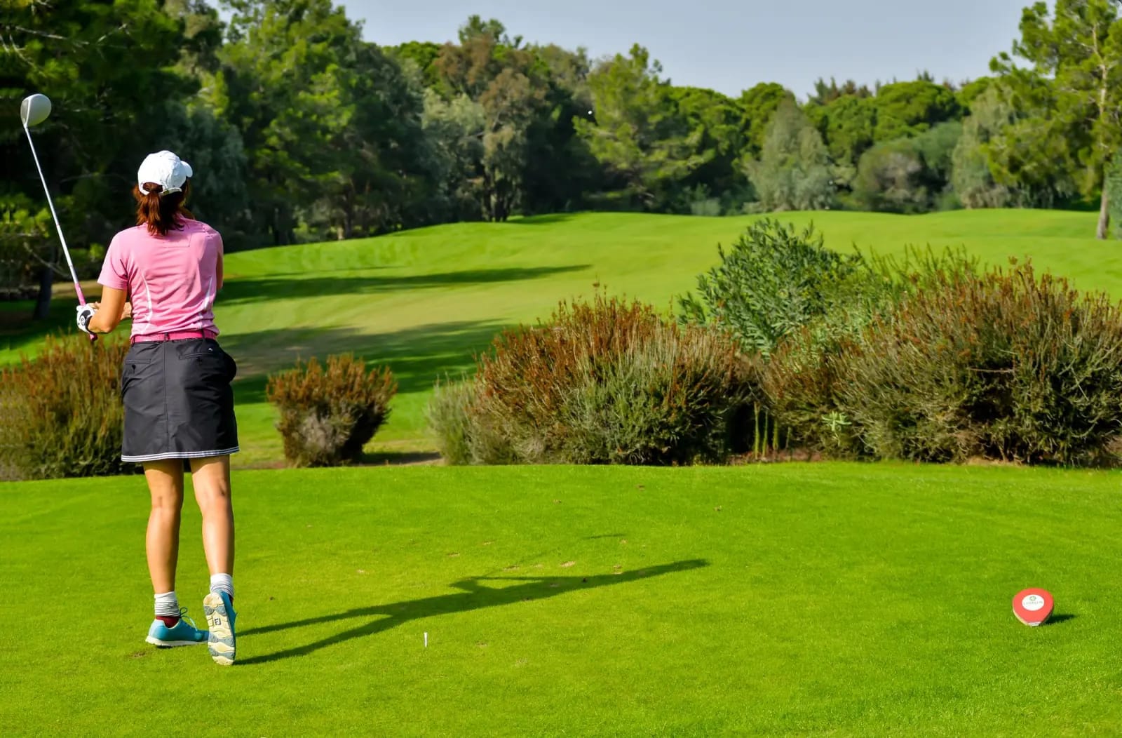 Golfer on a tee among umbrella pines on a golf course in Belek, Antalya, Turkey